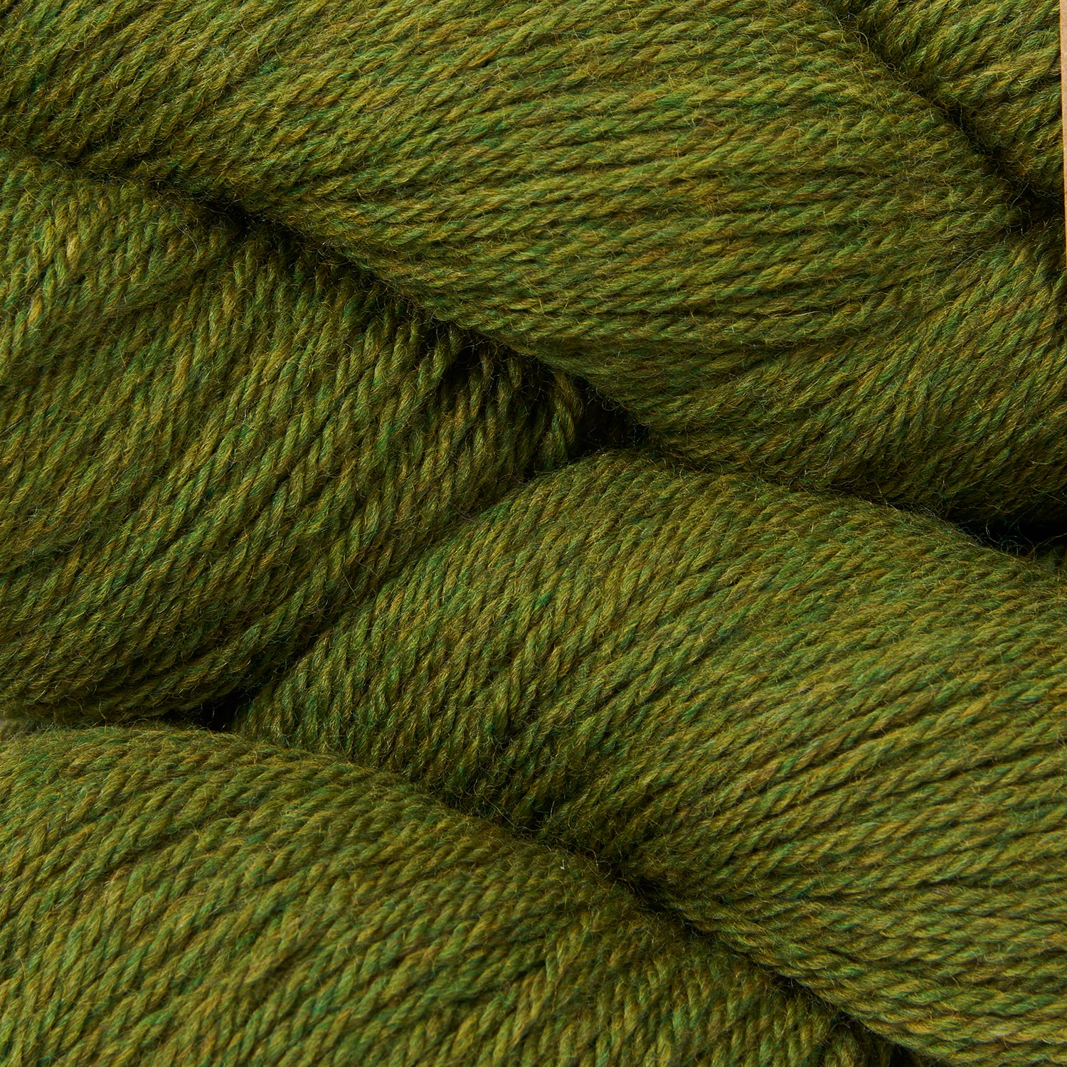 Tandem - Moss
