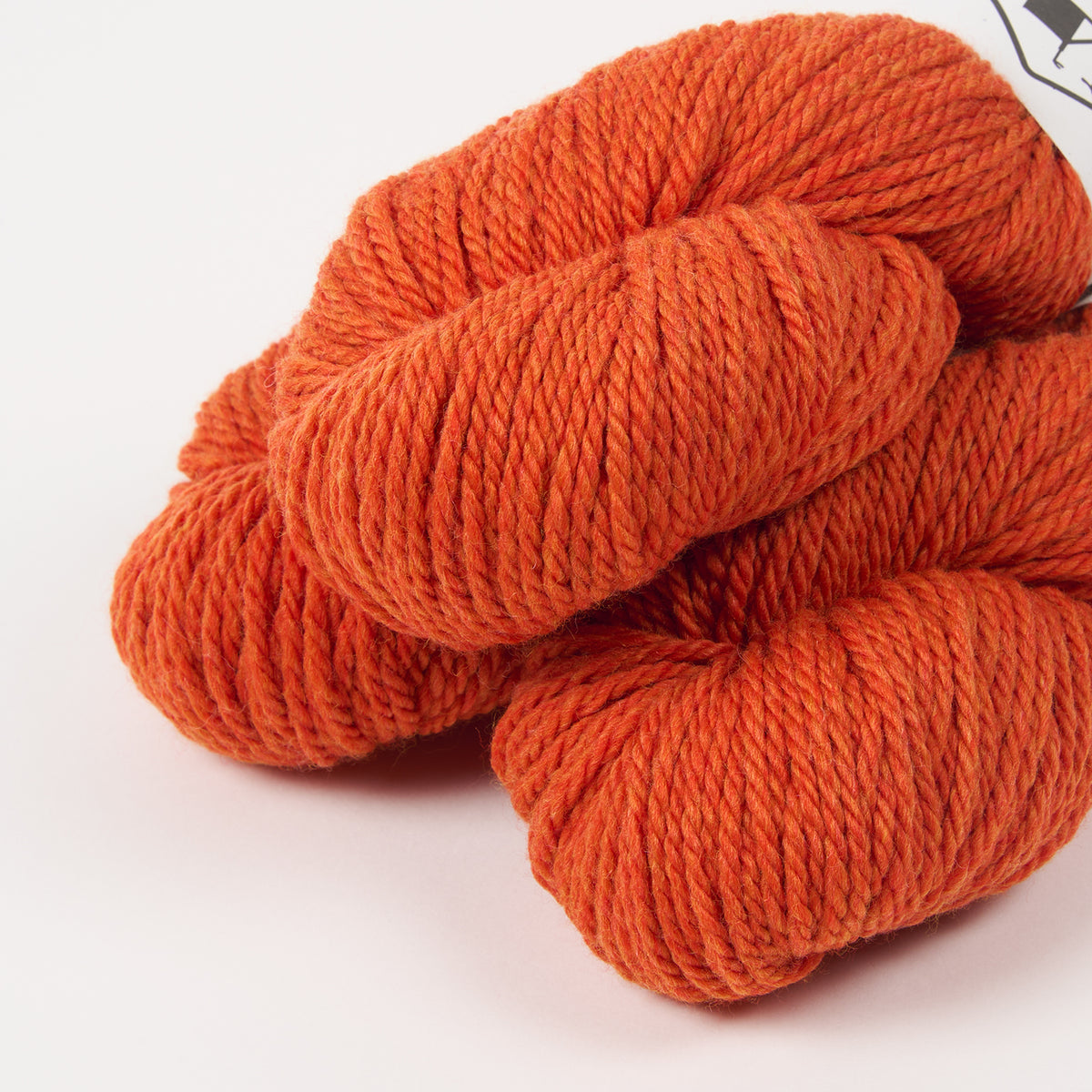 CARGO - BLOOD ORANGE