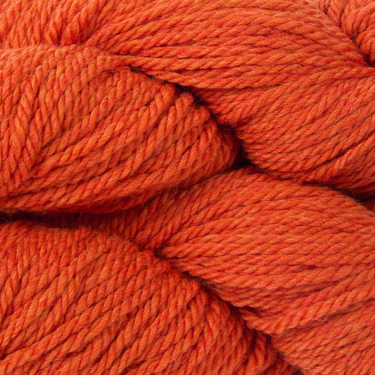 CARGO - BLOOD ORANGE