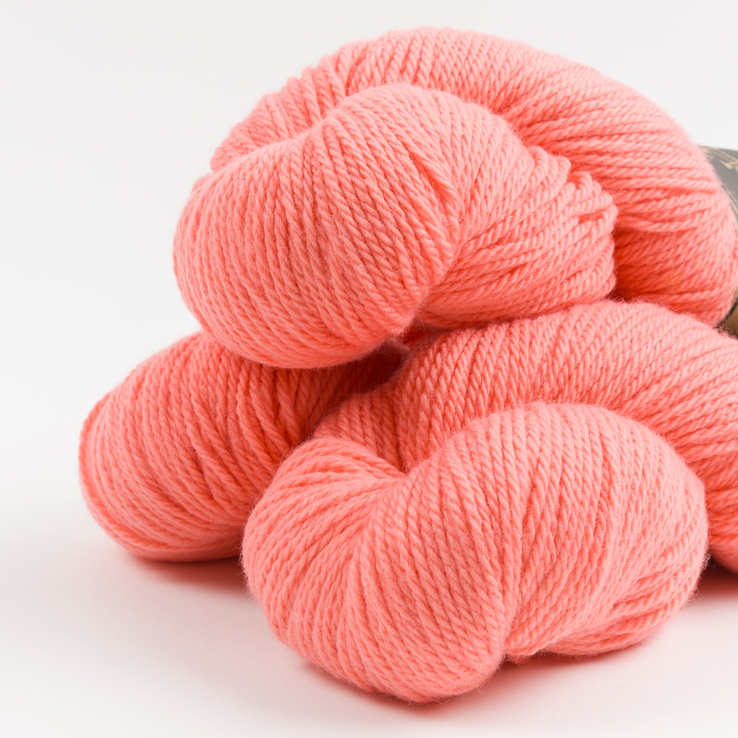 WINTER'S BEACH CARDI - FLAMINGO