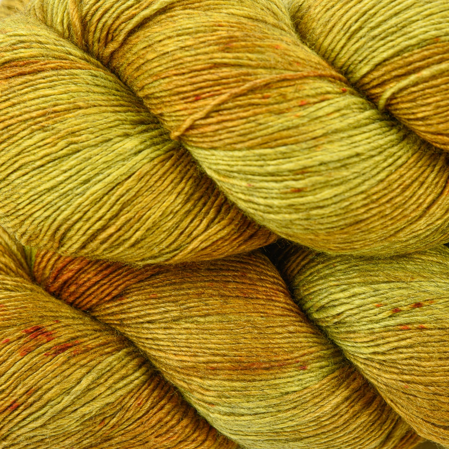 Qing Yak Singles - Young Ginger