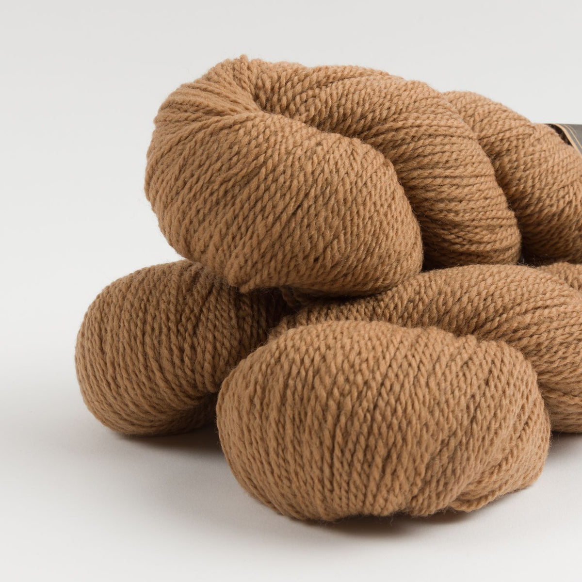 THE TRAVELER SHELL - BISCUIT