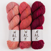 WALK Collection CLARET BLUSH Merino wool Fingering Quick Kits