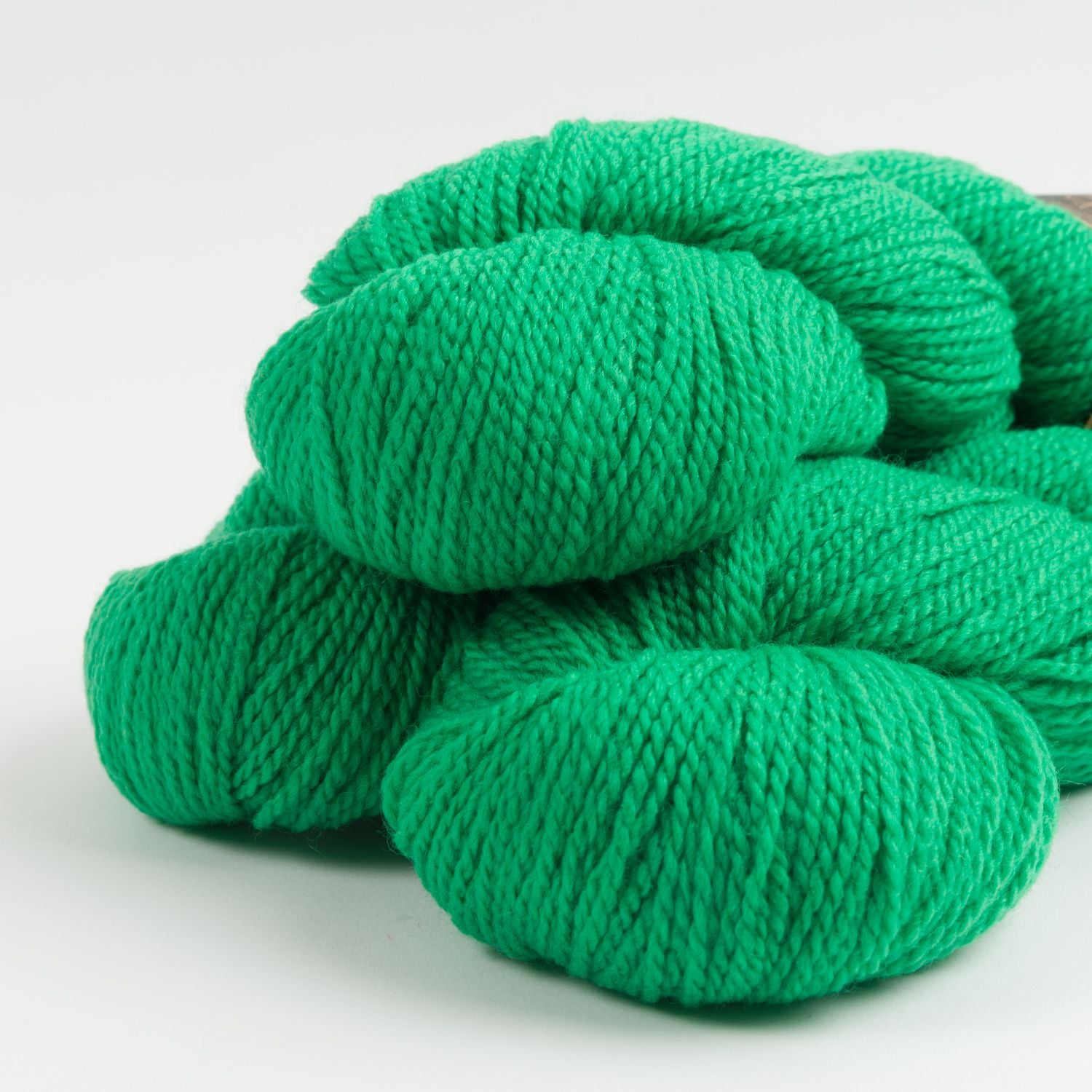 THE TRAVELER SHELL - GRASS GREEN