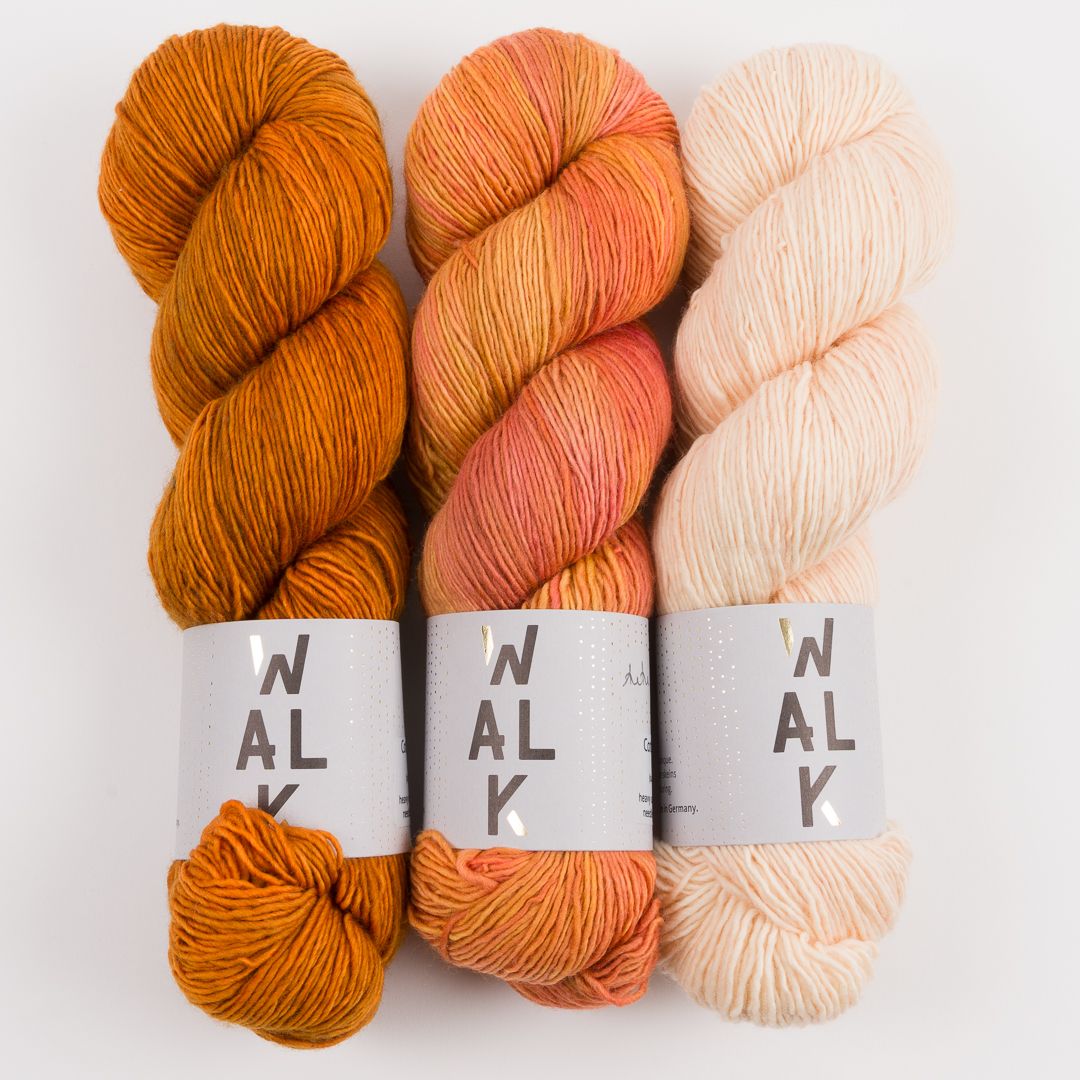 WALK Collection AUTUMN SQUIRREL Merino wool Fingering Quick Kits