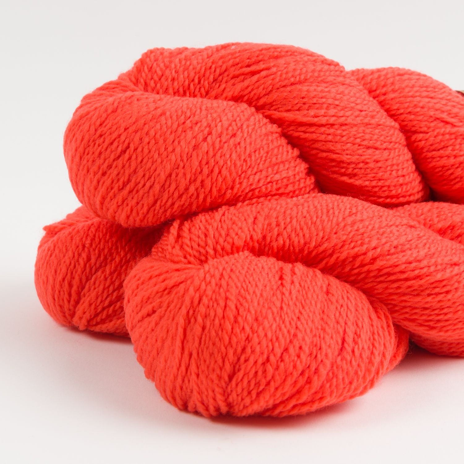 THE TRAVELER SHELL - BEATRIX