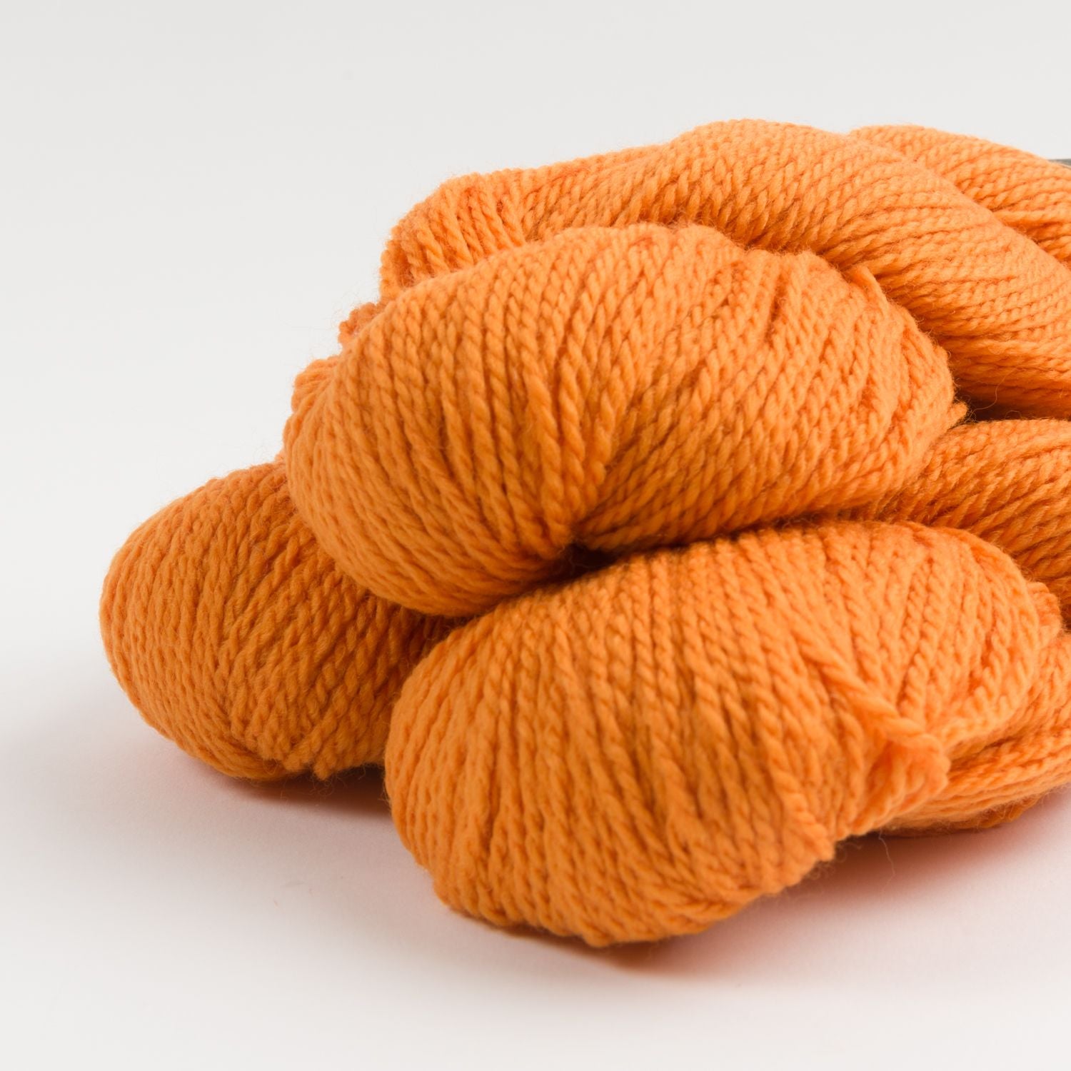 THE TRAVELER SHELL - TANGERINE