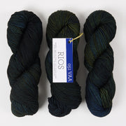 Malabrigo RIOS - VAA Merino wool Worsted black multicolour green Yarn