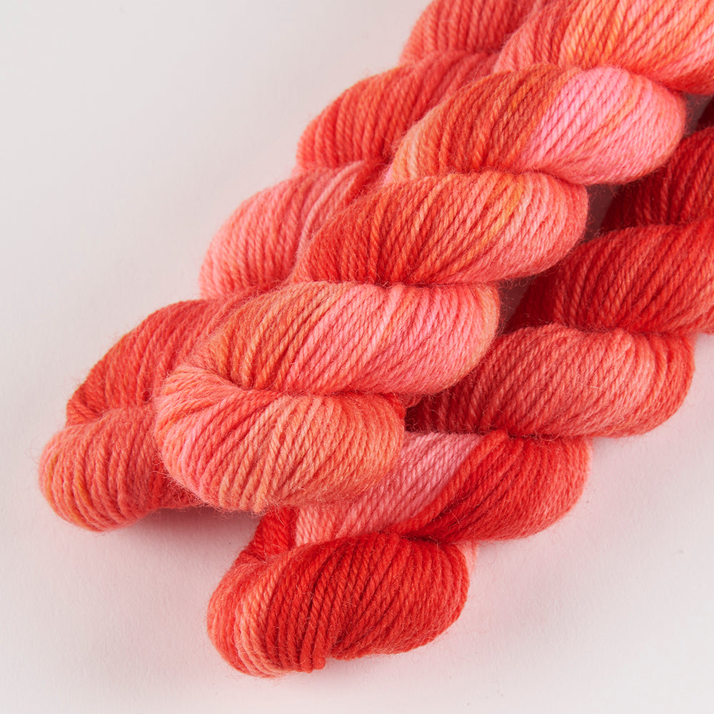 TOUGH SOCK MINI - LEO