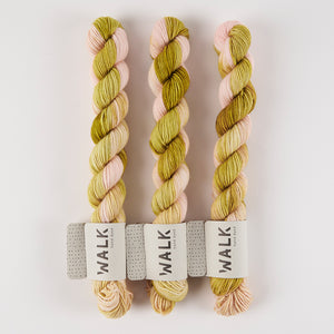 WALK Collection TOUGH SOCK MINI - VIRGO Merino wool Nylon Fingering Yarn