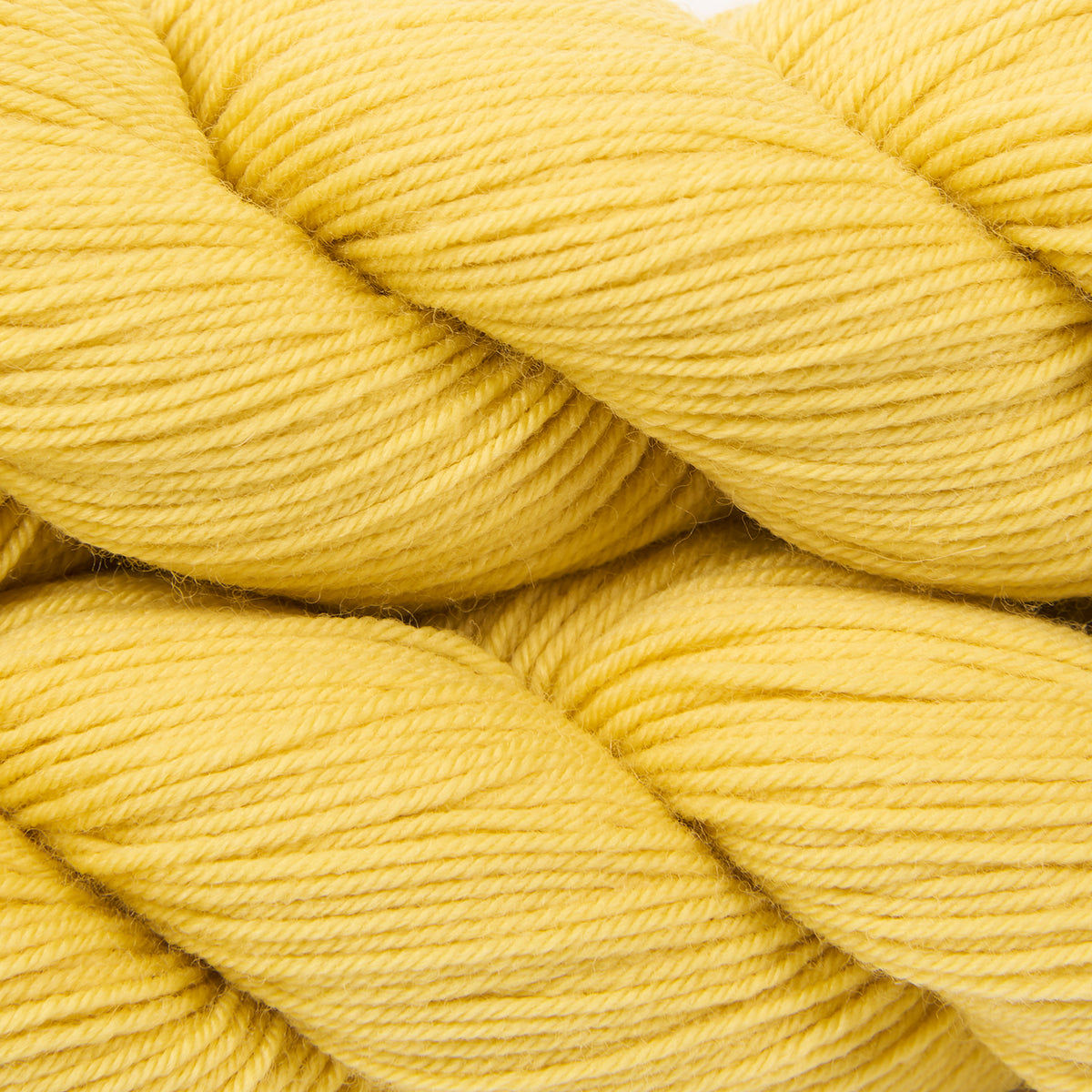 TRICYCLE - BUTTERCUP