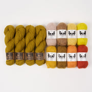 West Wool GOLDEN RAINBOW Mohair Silk Merino wool Mixed Weight Quick Kits