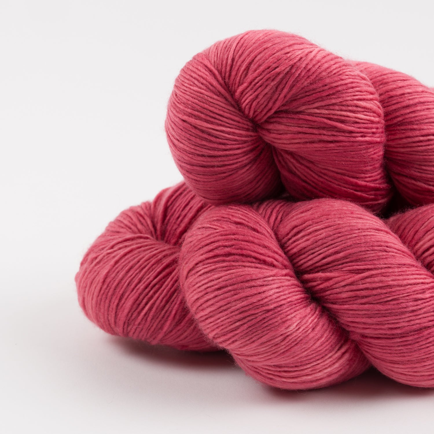 DASHING SASSY - MIRACLE BERRY