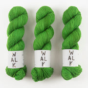 WALK Collection COTTAGE MERINO - COLLEGE GREEN Merino wool Fingering green Yarn