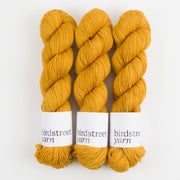 Birdstreet Yarn BIRDSTREET BFL - BEESWAX BFL Wool Blue Faced Leicester Nylon Fingering yellow Yarn