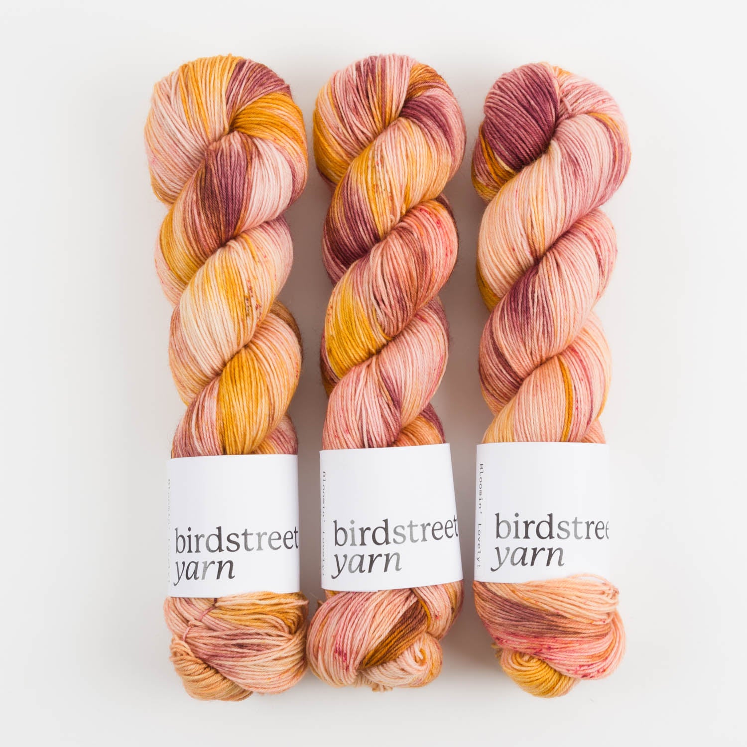 Birdstreet Yarn BIRDSTREET BFL - BLOOMIN' LOVELY BFL Wool Blue Faced Leicester Nylon Fingering pink yellow Yarn