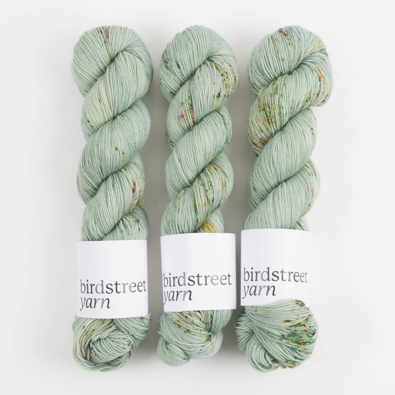 Birdstreet Yarn BIRDSTREET BFL - KELP BFL Wool Blue Faced Leicester Nylon Fingering green Yarn