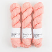 Birdstreet Yarn BIRDSTREET BFL - MELBA BFL Wool Blue Faced Leicester Nylon Fingering pink Yarn