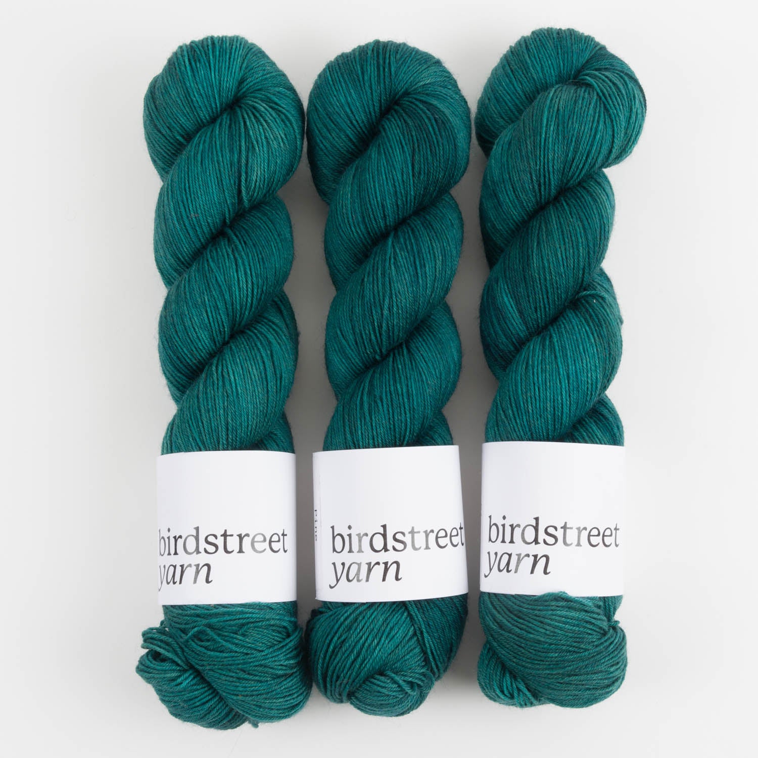Birdstreet Yarn BIRDSTREET BFL - PINE BFL Wool Blue Faced Leicester Nylon Fingering green Yarn