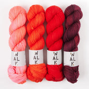 WALK Collection POMODORO CLARET Merino wool DK Quick Kits
