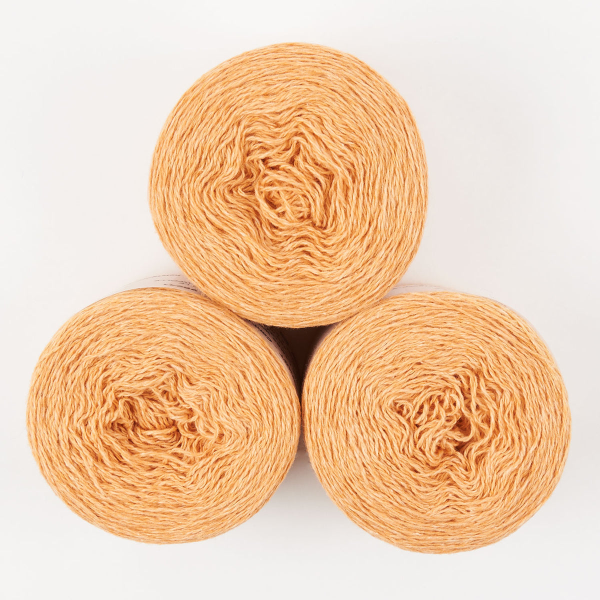 COAST - CANTALOUP