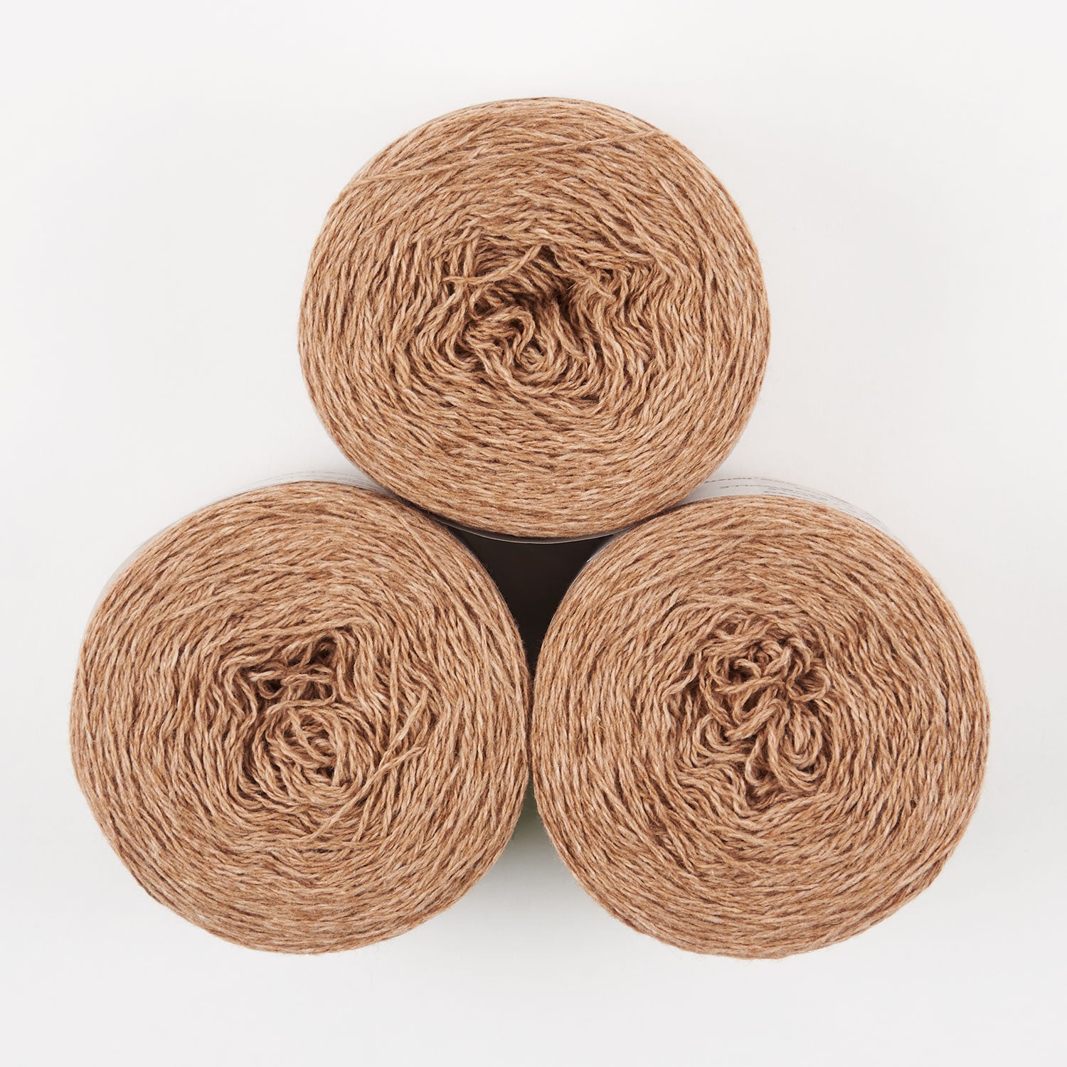 COAST - NUTMEG