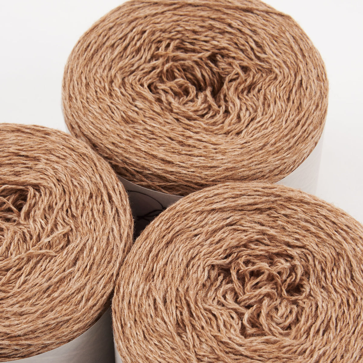 COAST - NUTMEG