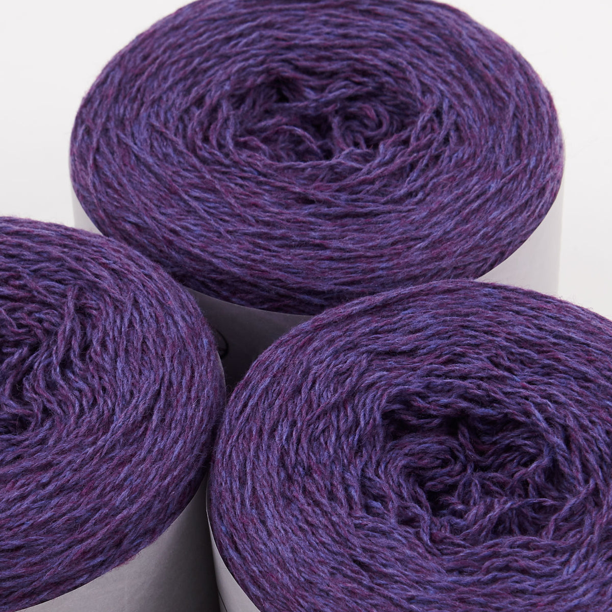 COAST - PASSION FLOWER