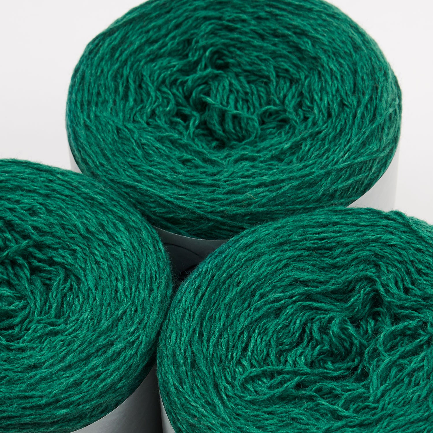 Coast - Sea Green