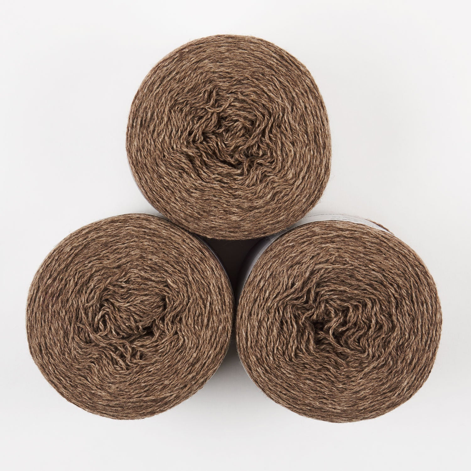 COAST - WARM BROWN