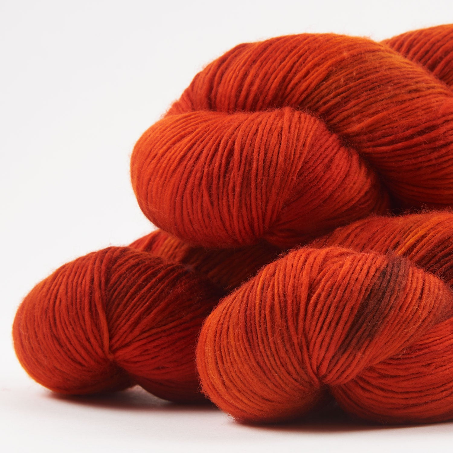 DASHING SASSY - RED MAPLE