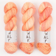 WALK Collection COTTAGE MERINO - SALMON Merino wool Fingering peach Yarn