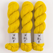 WALK Collection WALK MERINO DK - GOLDENROD Merino wool DK yellow Yarn