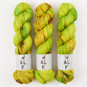 WALK Collection WALK MERINO DK - BAMBOO Merino wool DK green multicolour Yarn