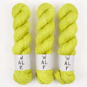 WALK Collection WALK MERINO DK - CHARTREUSE Merino wool DK green Yarn