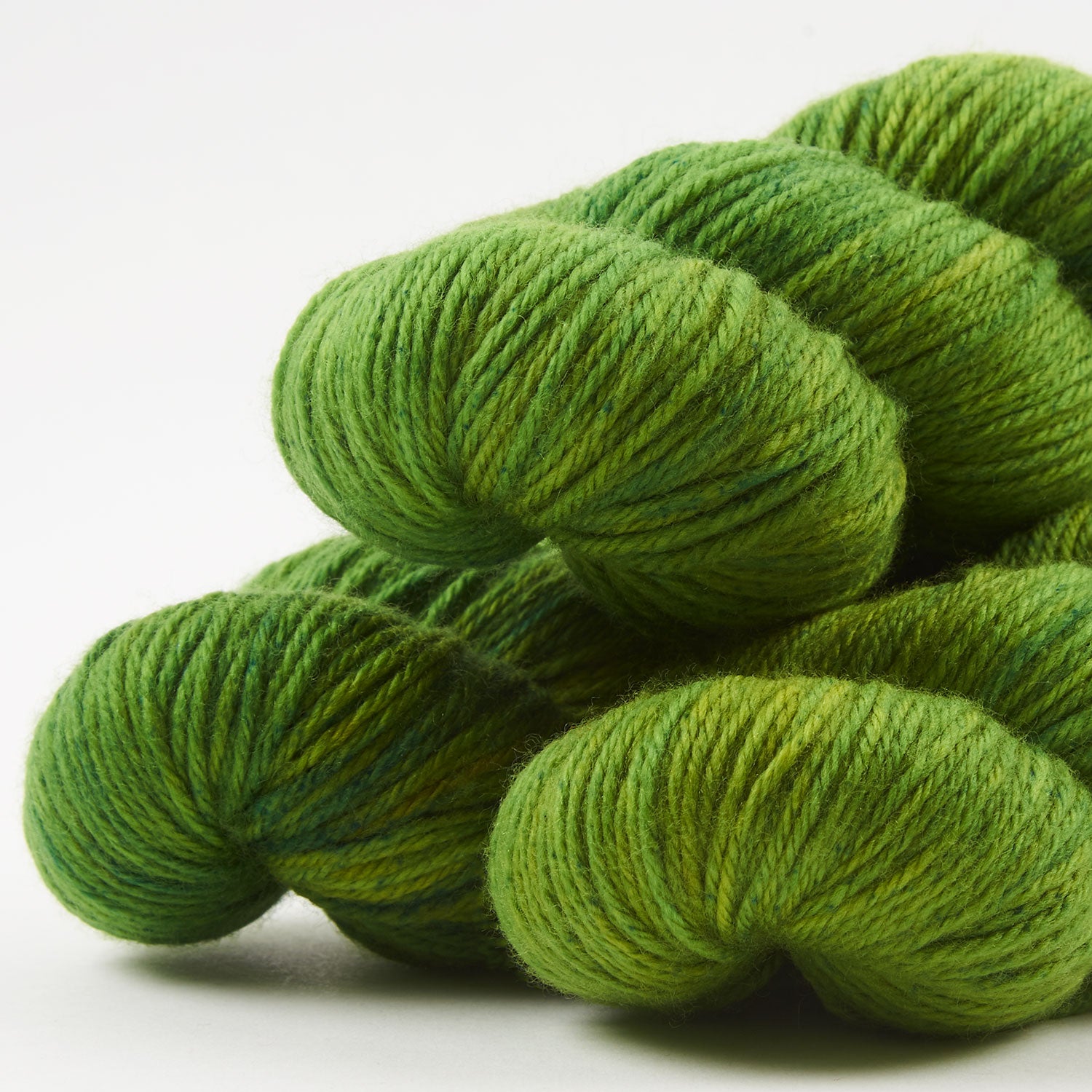 WALK MERINO DK - PALM LEAF