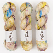 WALK Collection MERLINO - BELIEVE Merino wool Linen Fingering multicolour Yarn
